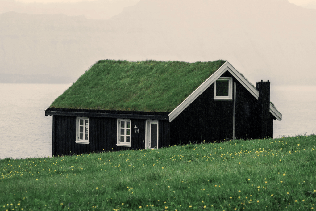 macro trends 2025 showing biocentric business models, environmental governance, and sustainable innovation